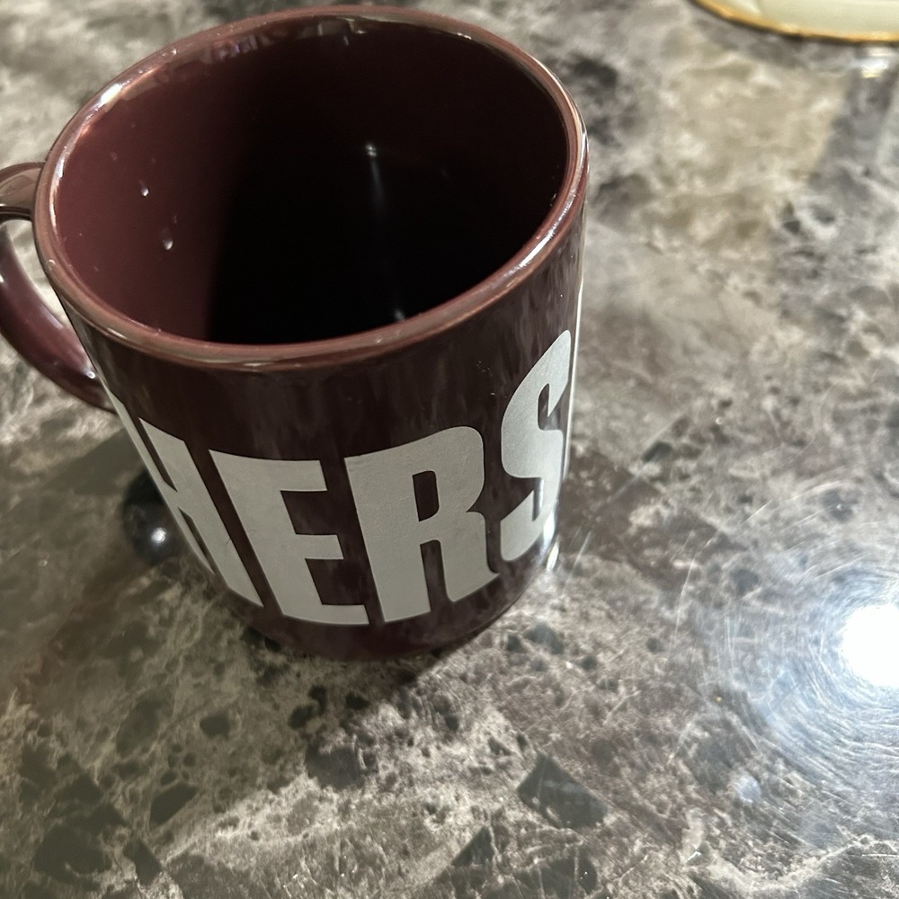 Authentic Hershey's Coffee Mug Since 1894 by Galerie 12oz Chocolate Brown Silver